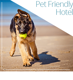 hotel pet friendly milano marittima